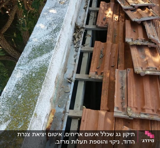 רעפים שבורים על גג עם עלים יבשים